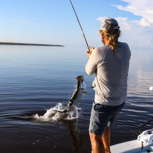 Tarpon fishing in Port Charlotte, Florida