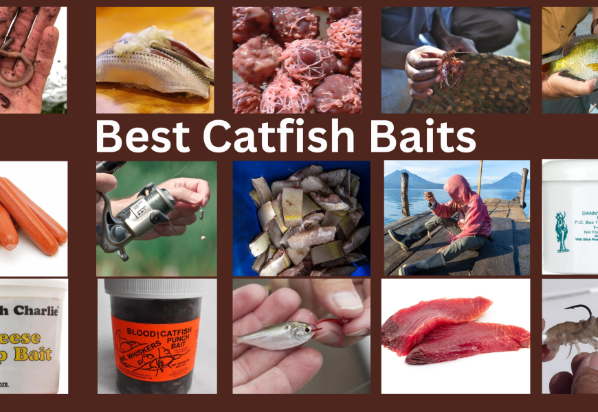 The 15 Best Catfish Baits of 2023, Tested by Elite Anglers