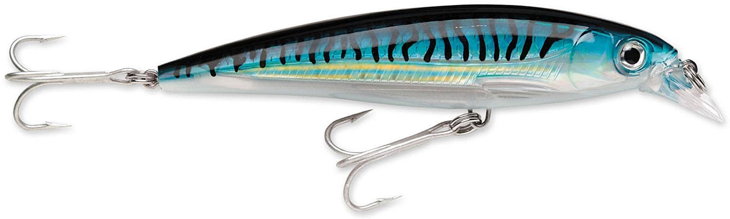 silver-blue-mackerel 1500x450