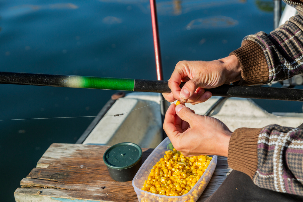 angler using corn as bait on the hook