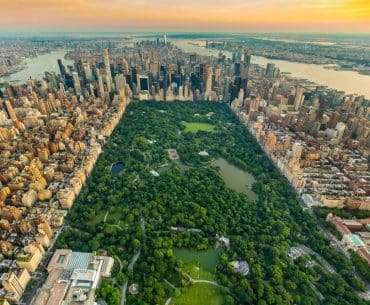 aerial view of the ny central park